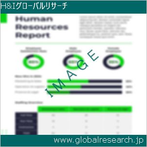 グローバルリサーチ調査レポートのイメージ